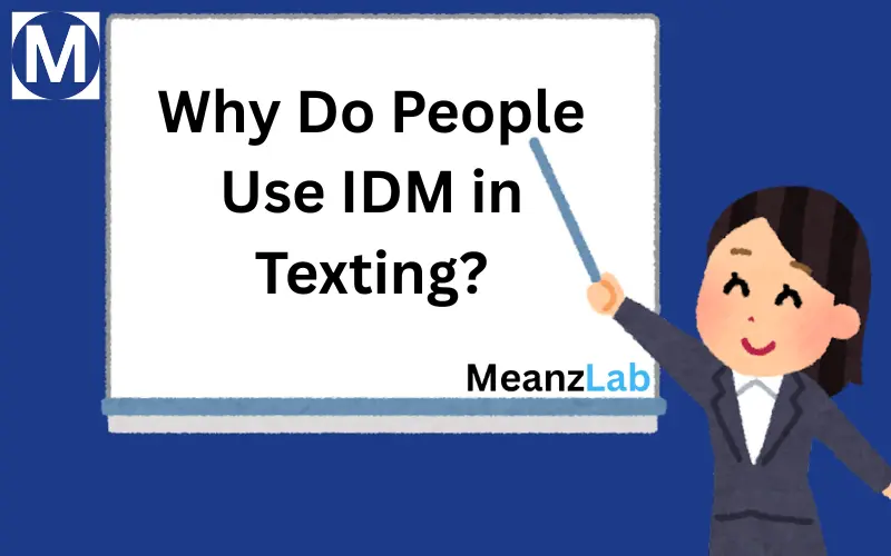 IDM Meaning in Text