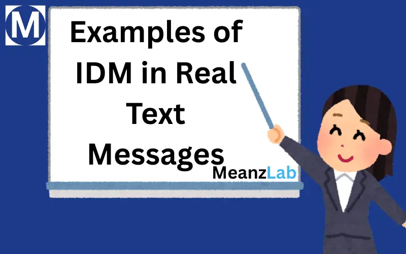 IDM Meaning in Text