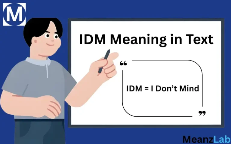 IDM Meaning in Text
