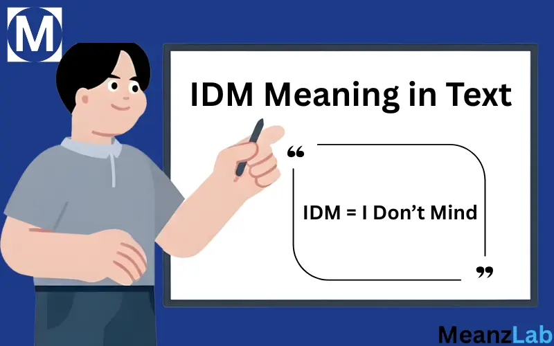 IDM Meaning in Text