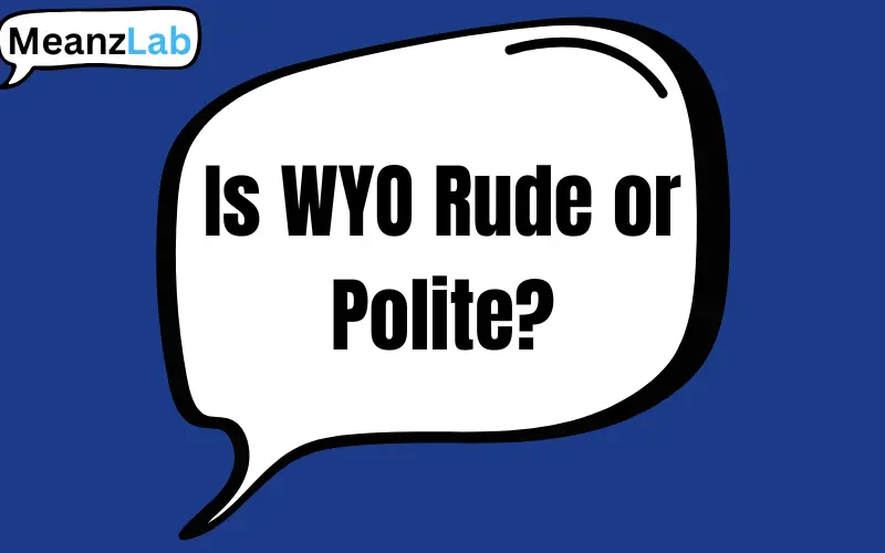 wyo meaning in text


