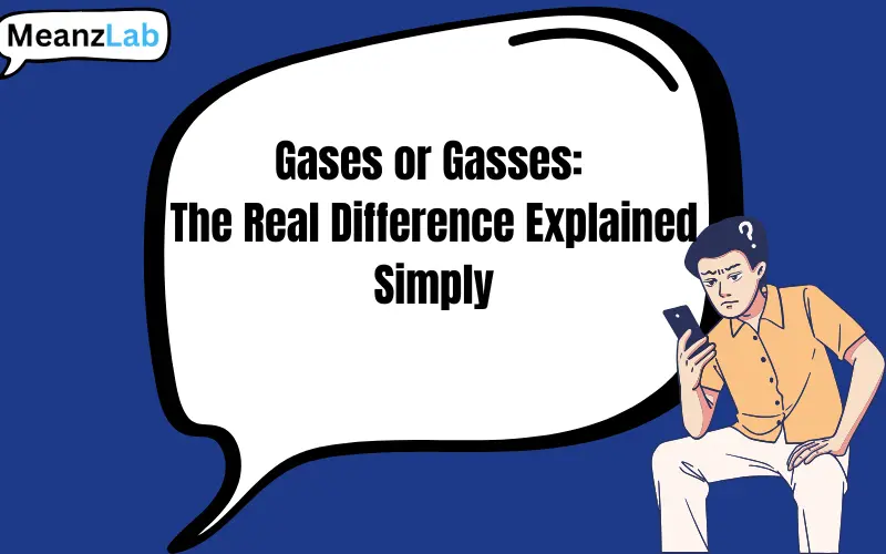 gases or gasses