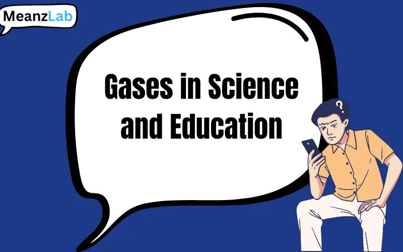 gases or gasses