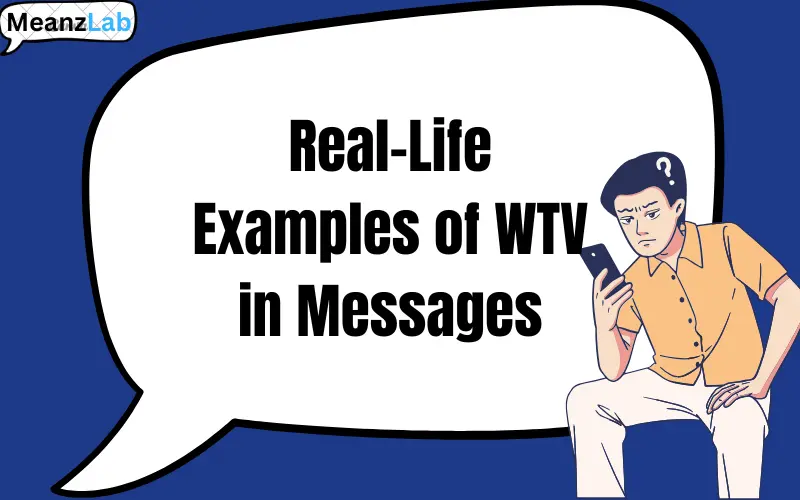 wtv meaning in text