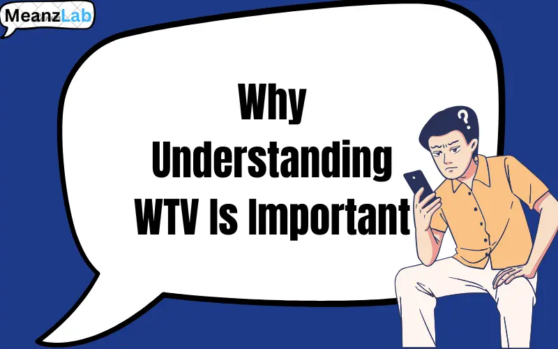 wtv meaning in text