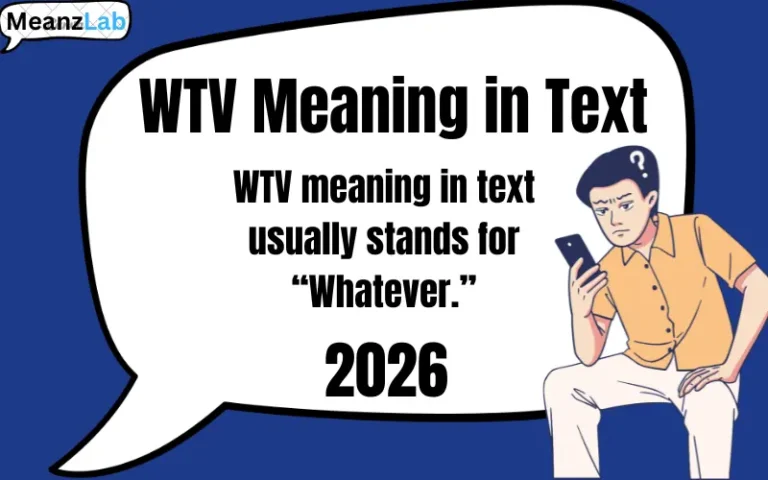 wtv meaning in text