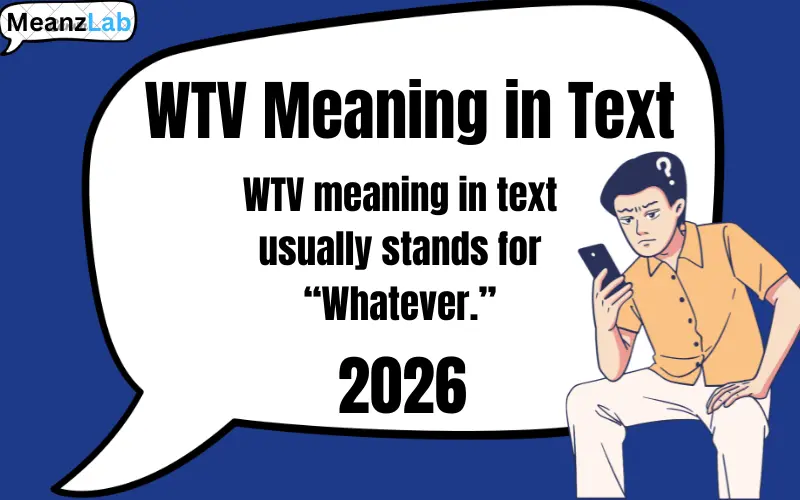 wtv meaning in text