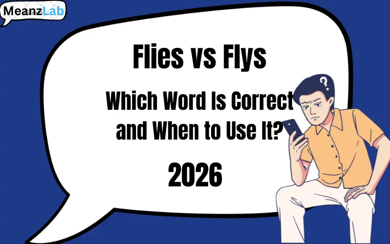Flies vs Flys
