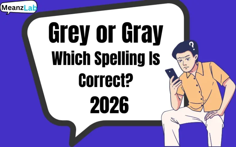 Grey or Gray