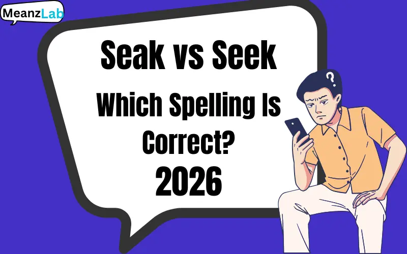 Seak vs Seek