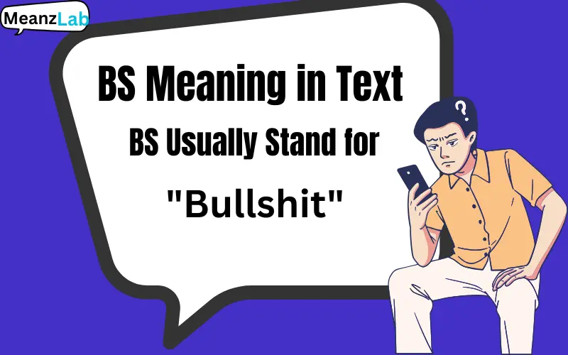BS Meaning in Text