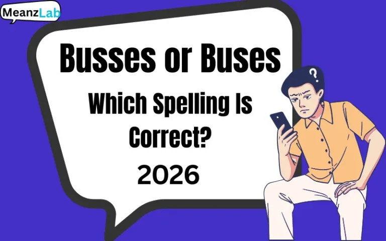 Busses or Buses
