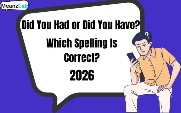 Did You Had or Did You Have