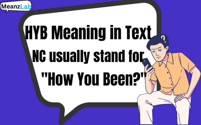 HYB Meaning in Text