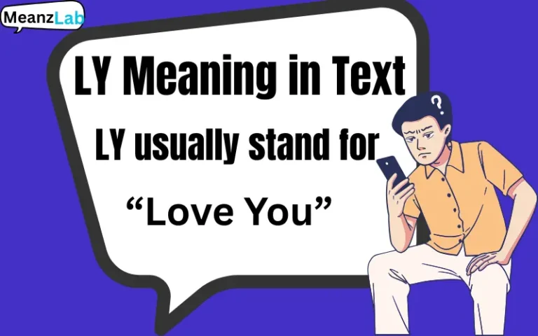 LY Meaning in Text