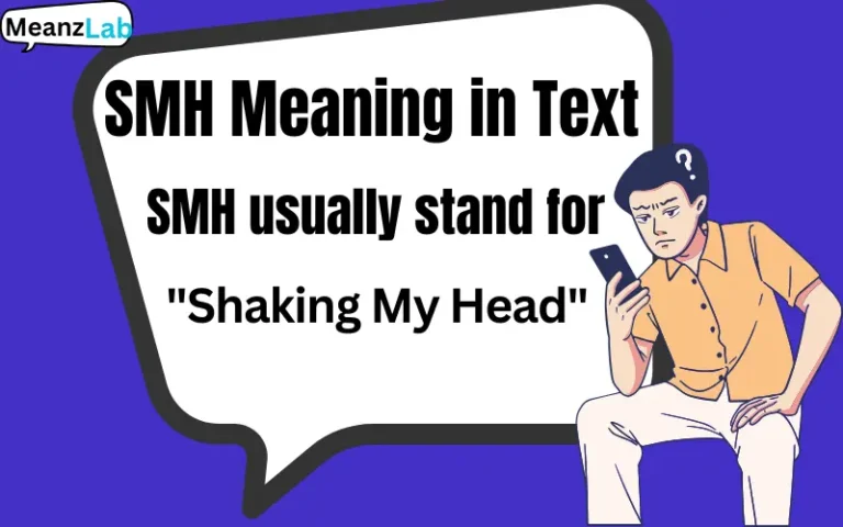 SMH Meaning in Text