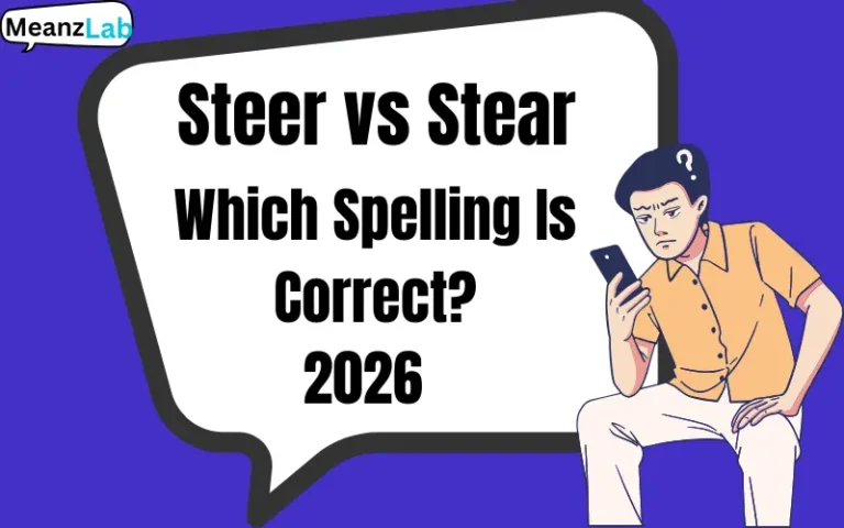 Steer vs Stear