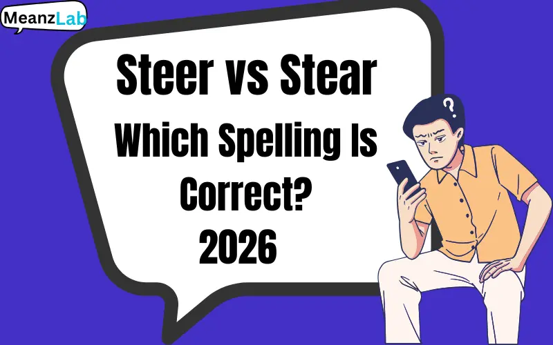 Steer vs Stear