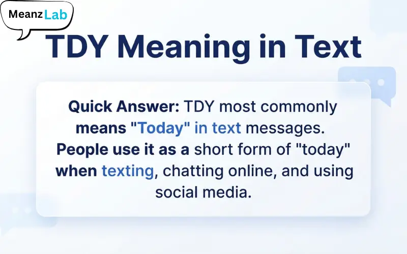 TDY Meaning in Text