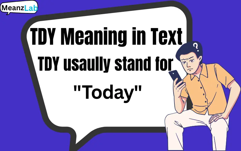 TDY Meaning in Text