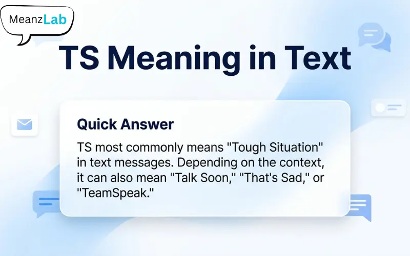 TS Meaning in Text