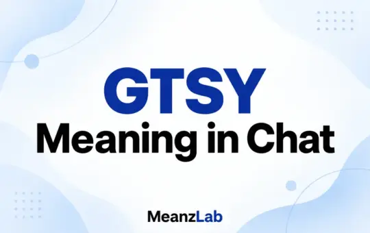 GTSY Meaning in Chat