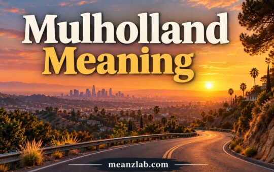 Mulholland Meaning