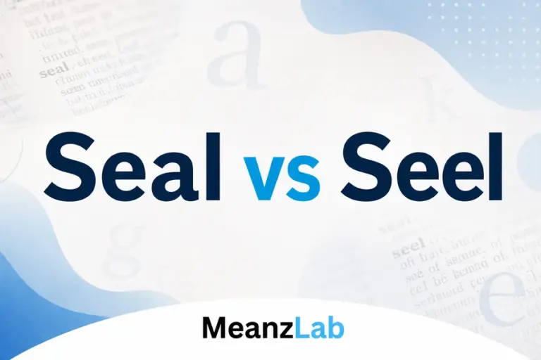 Seal vs Seel