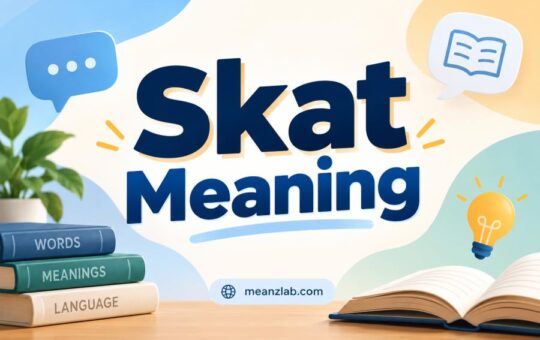 Skat Meaning
