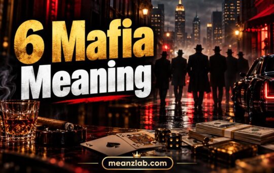 6 Mafia Meaning
