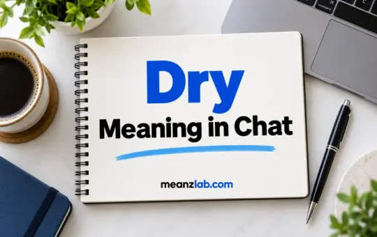 Dry Meaning in Chat