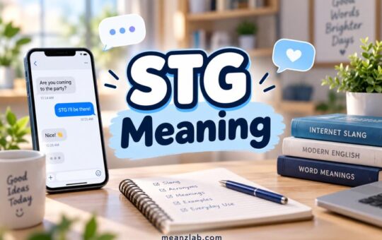 STG Meaning